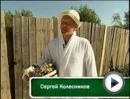 Смотреть это видео на сайте YouTube