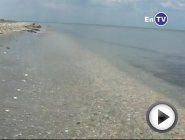 Смотреть это видео на сайте YouTube