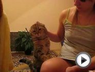 Смотреть это видео на сайте YouTube