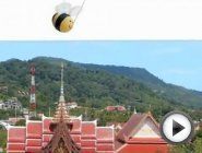 Смотреть это видео на сайте YouTube