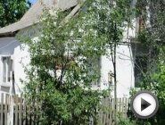 Смотреть это видео на сайте YouTube