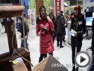 Смотреть это видео на сайте YouTube