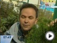 Смотреть это видео на сайте YouTube
